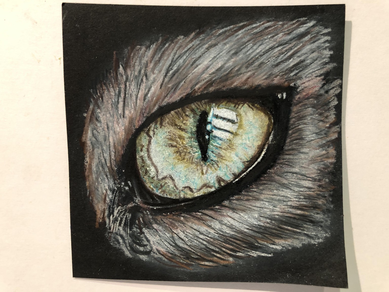 Cat’s Eyes: Studies in Colored Pencil on Black Paper - image 4 - student project