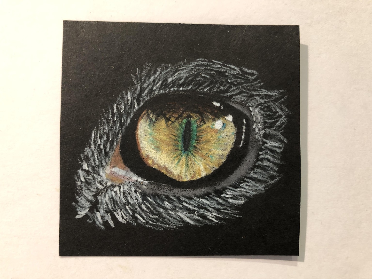 Cat’s Eyes: Studies in Colored Pencil on Black Paper - image 2 - student project