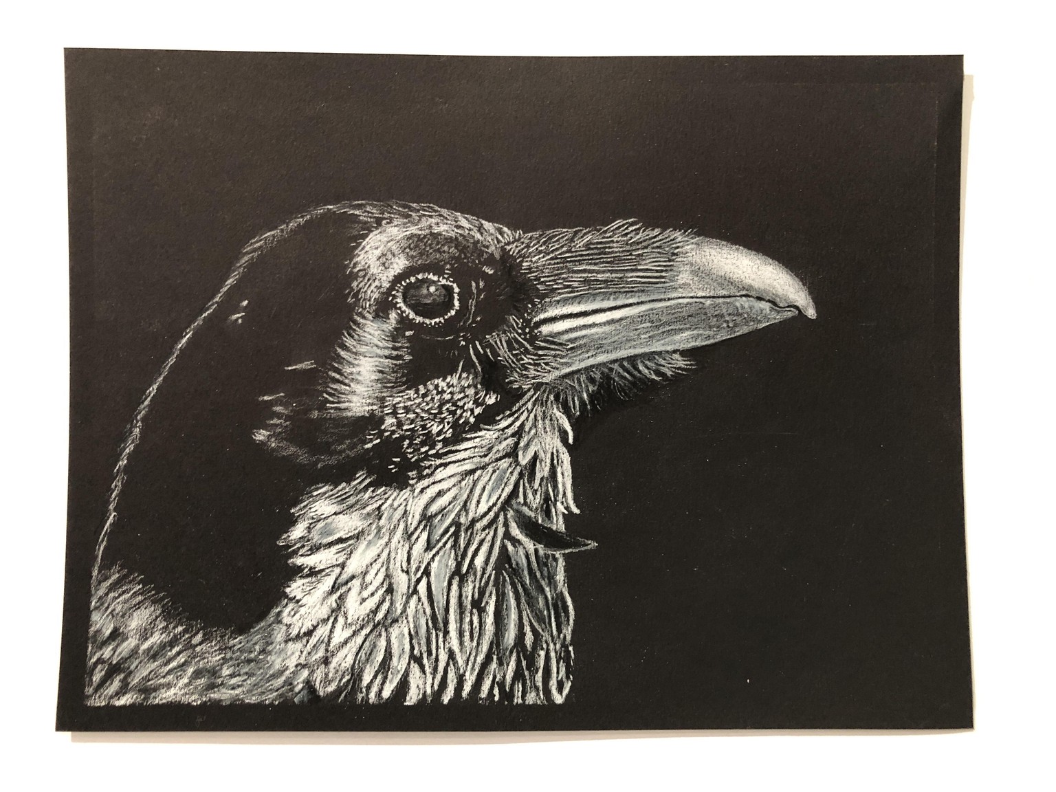 Leroy the Crow - image 1 - student project