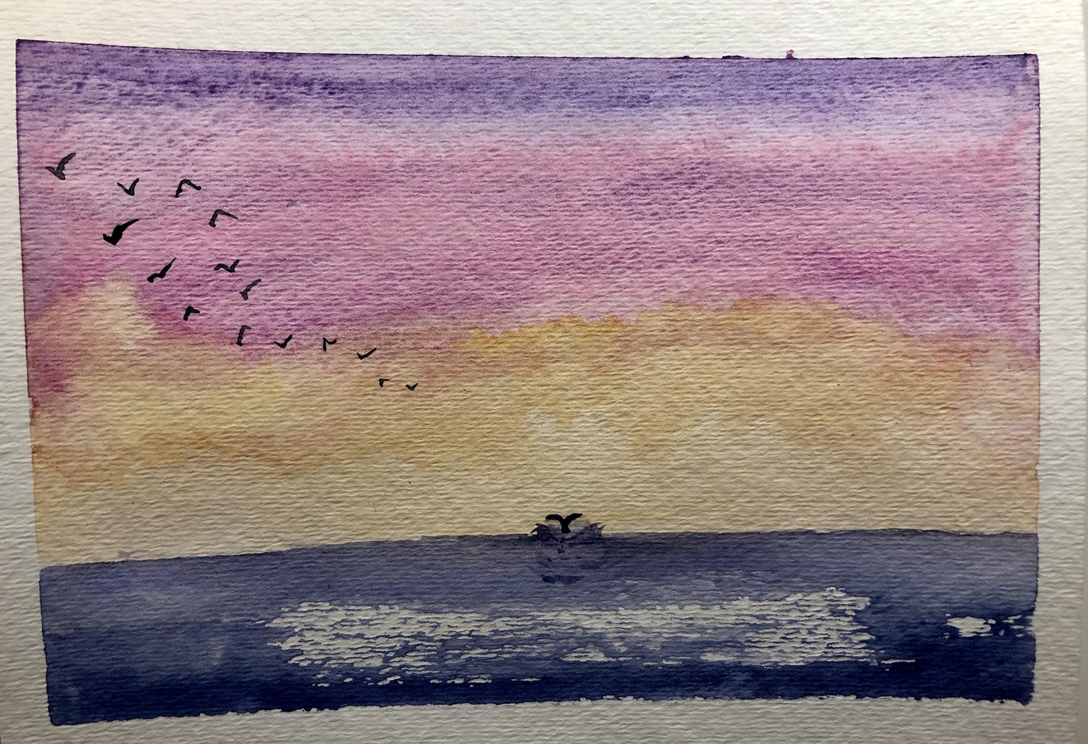 Sunsets with fly-away birds - image 2 - student project