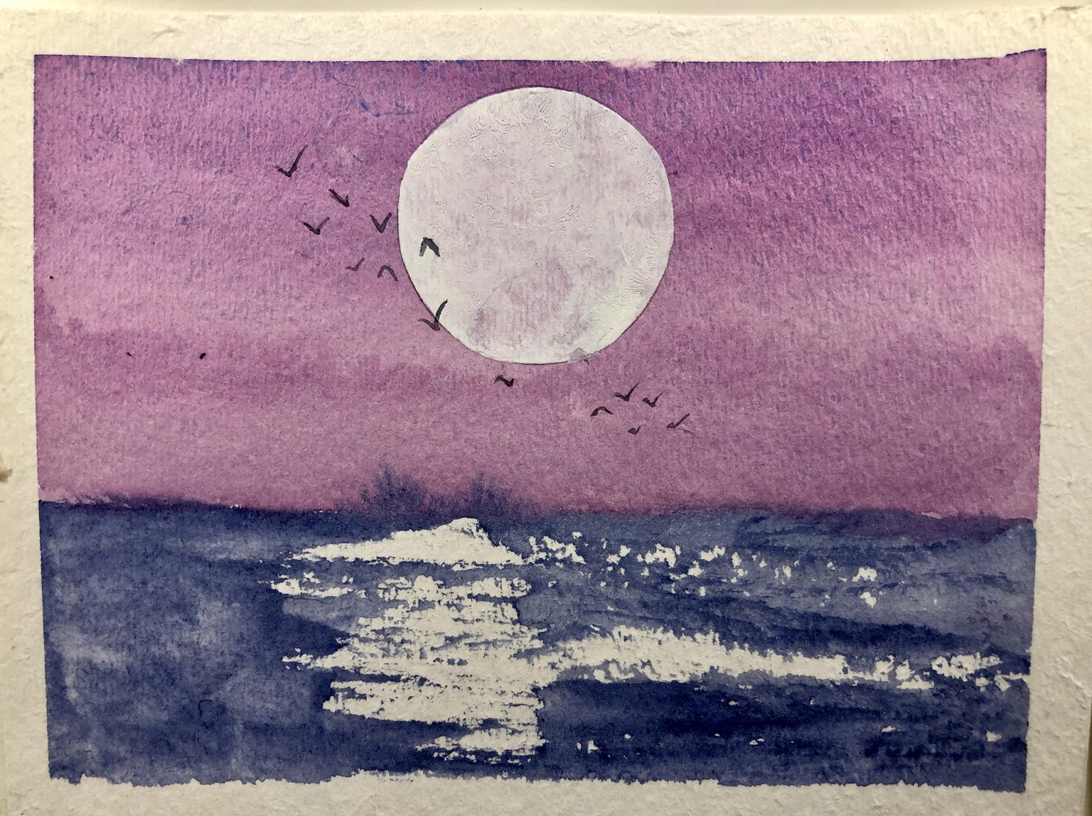 Sunsets with fly-away birds - image 4 - student project