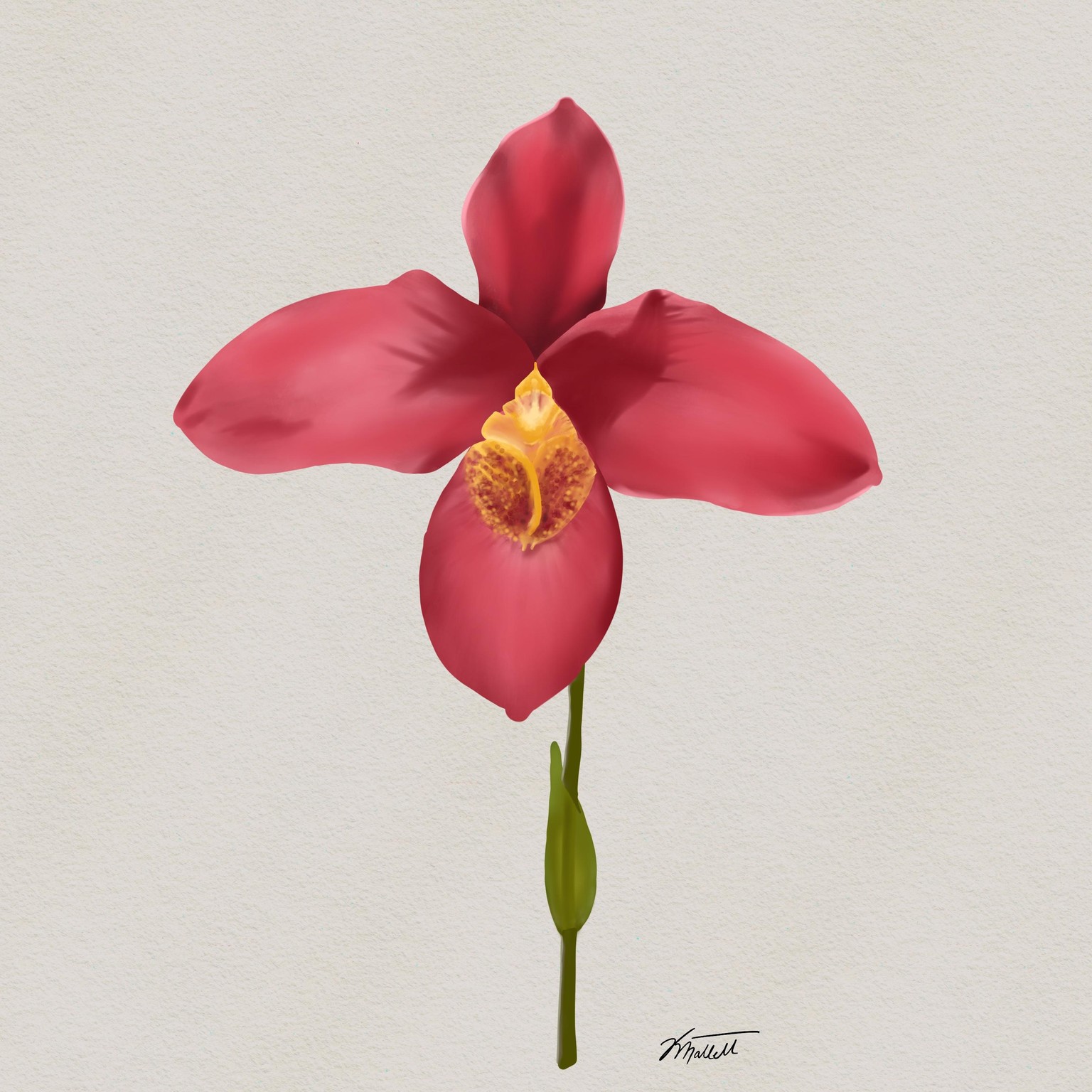 Pink Procreate Orchid - image 1 - student project