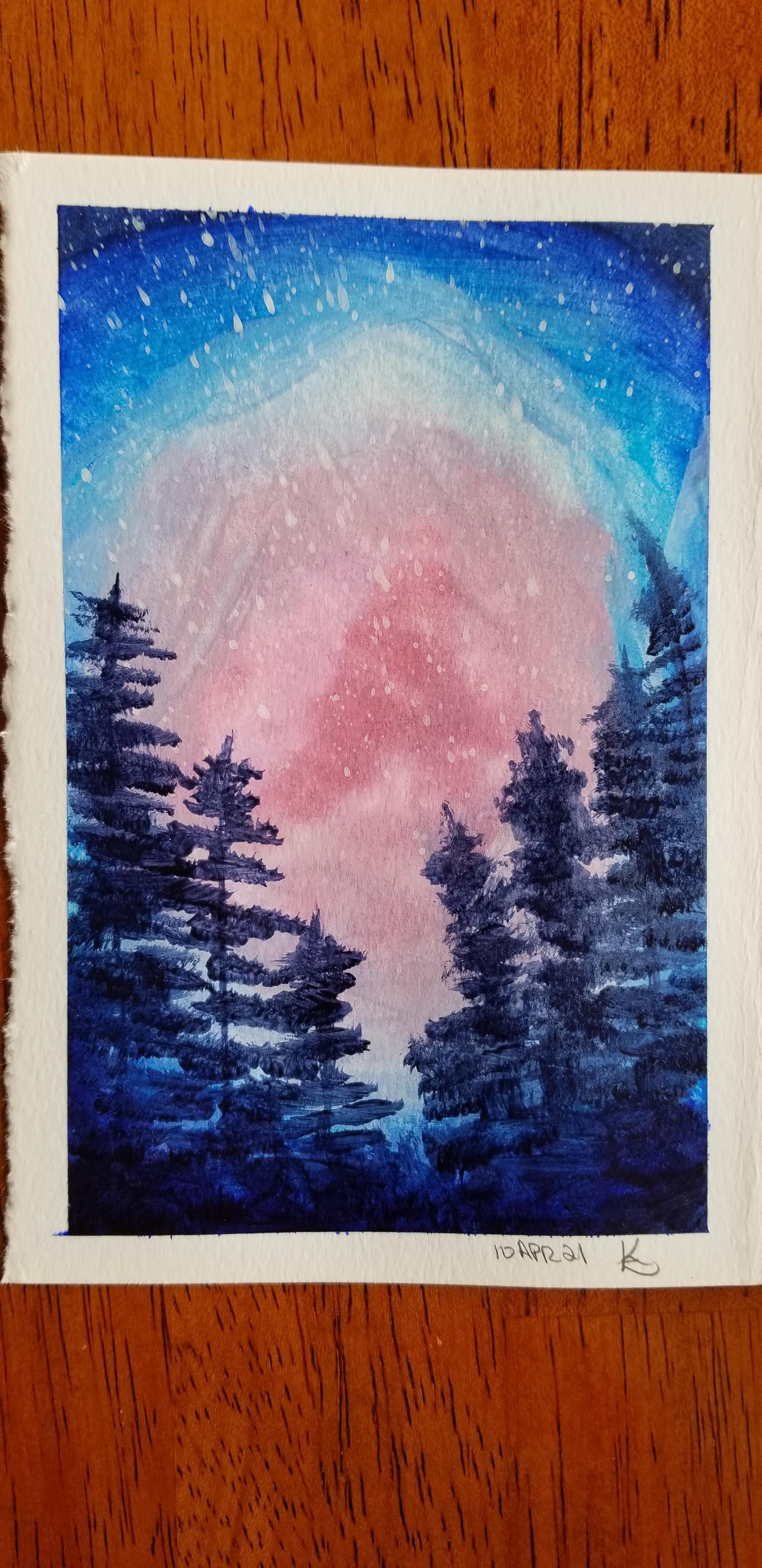 Blue firs at night - image 1 - student project