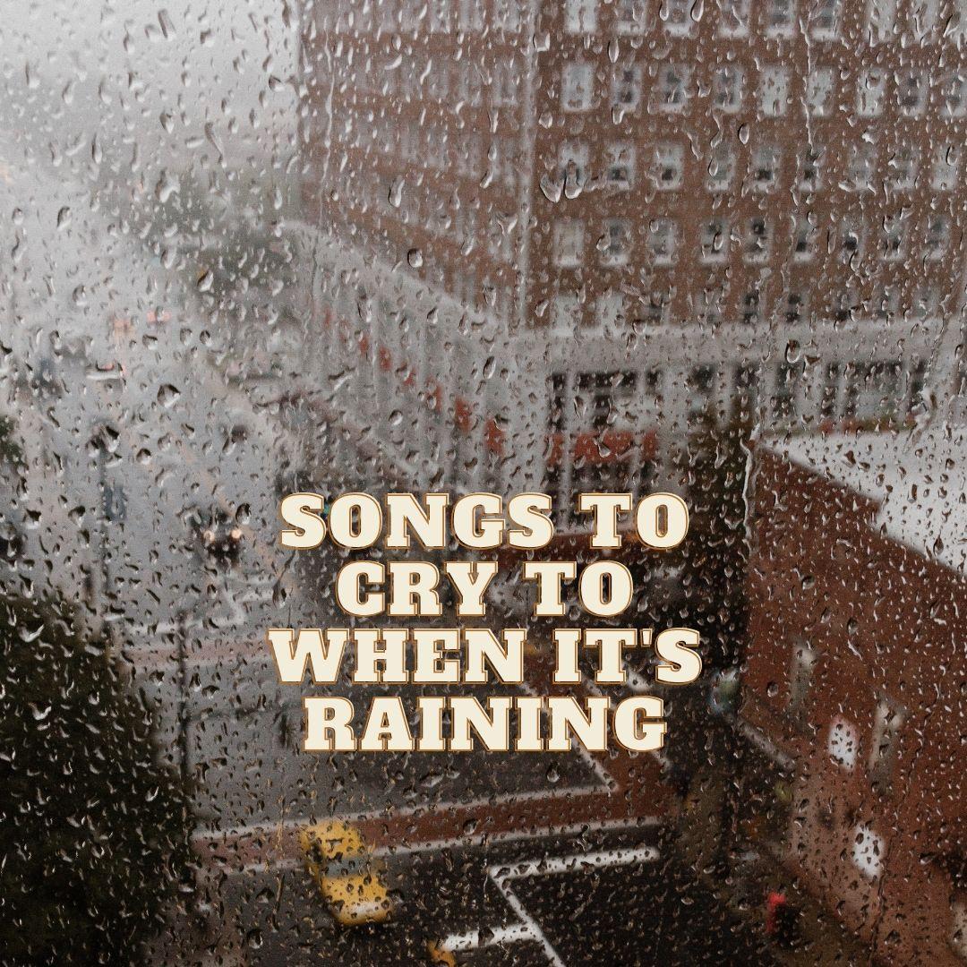 My playlist - image 1 - student project