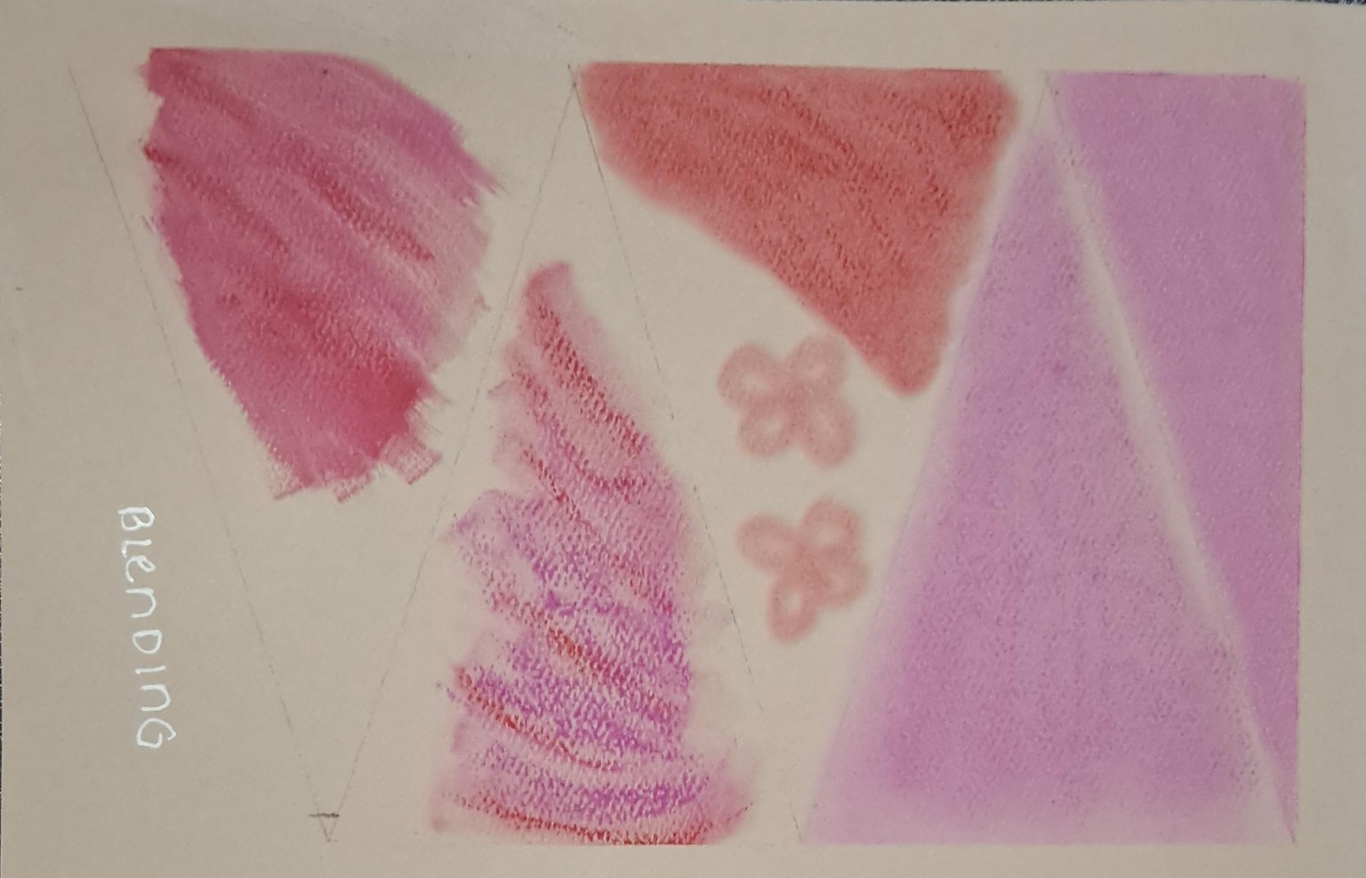 Soft pastels beginner :) - image 1 - student project