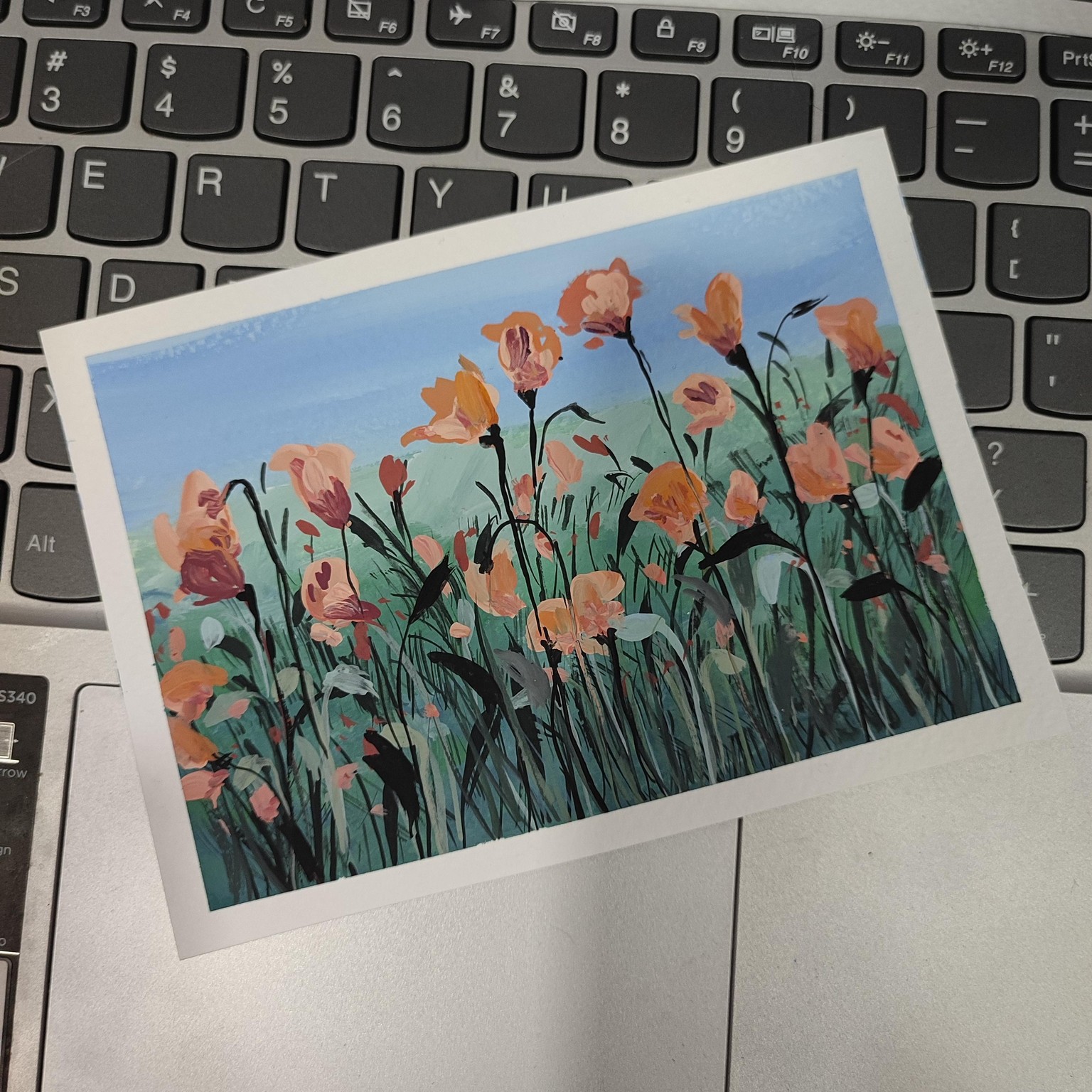 flower fields - image 2 - student project