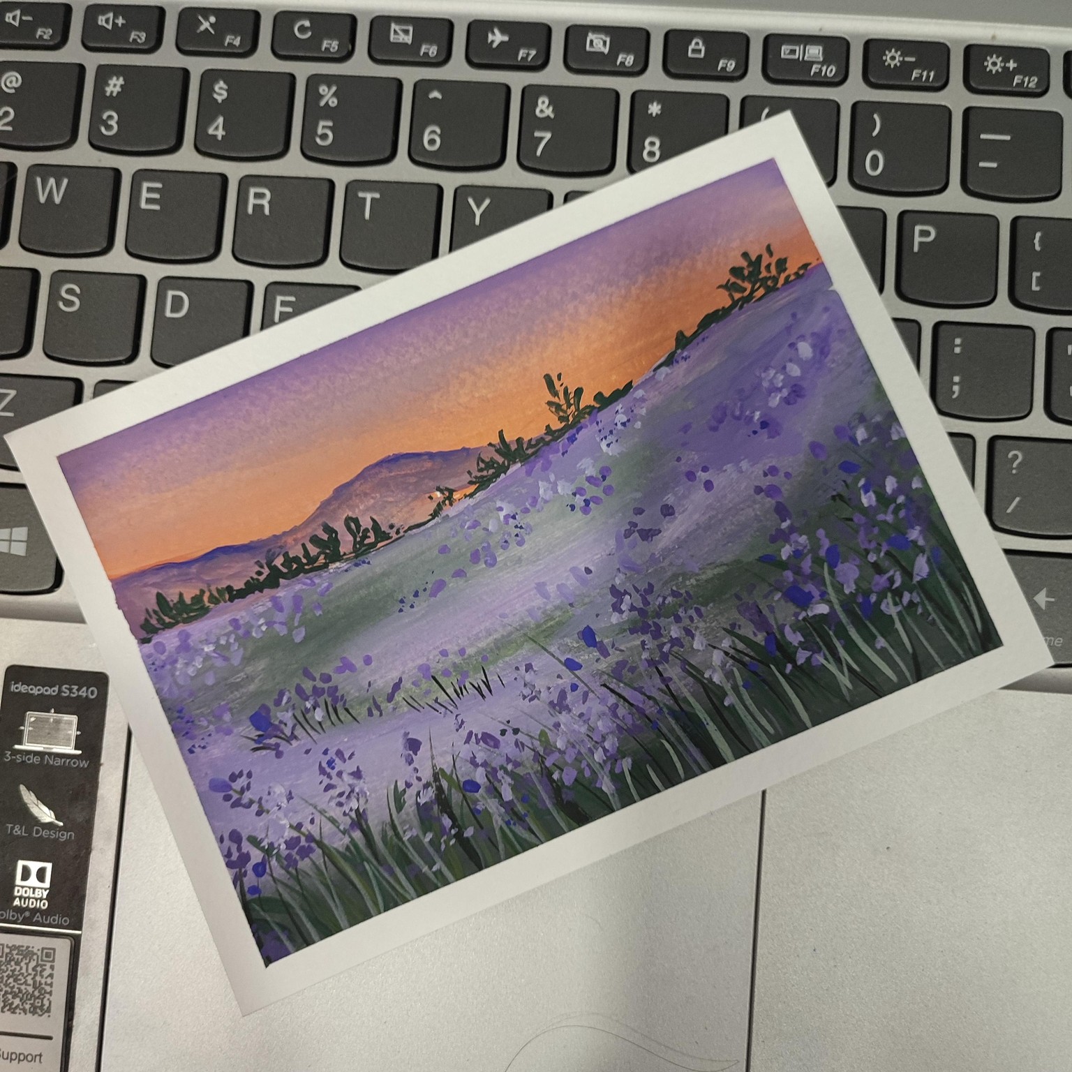 flower fields - image 3 - student project