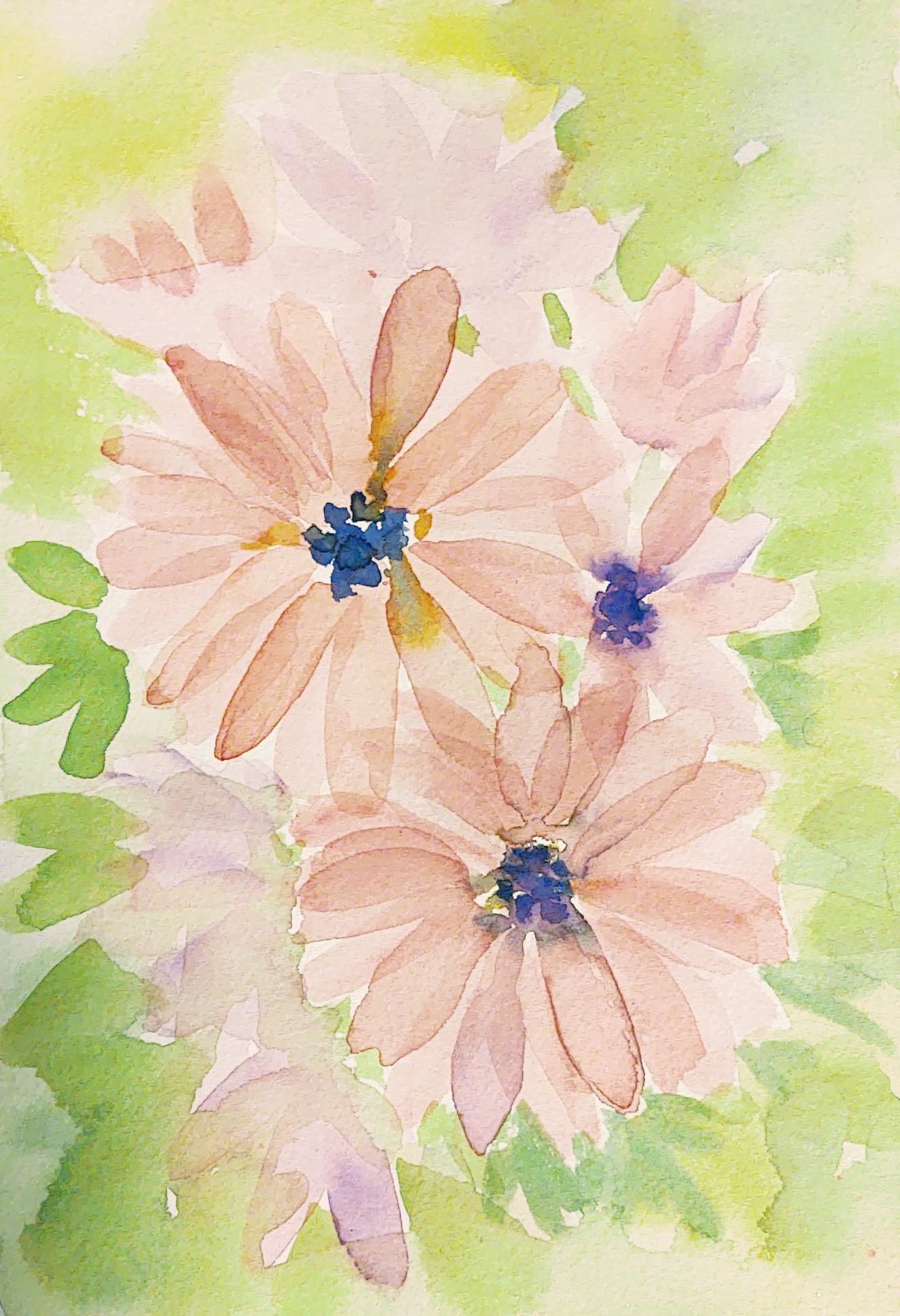 Floral - transparency - image 1 - student project