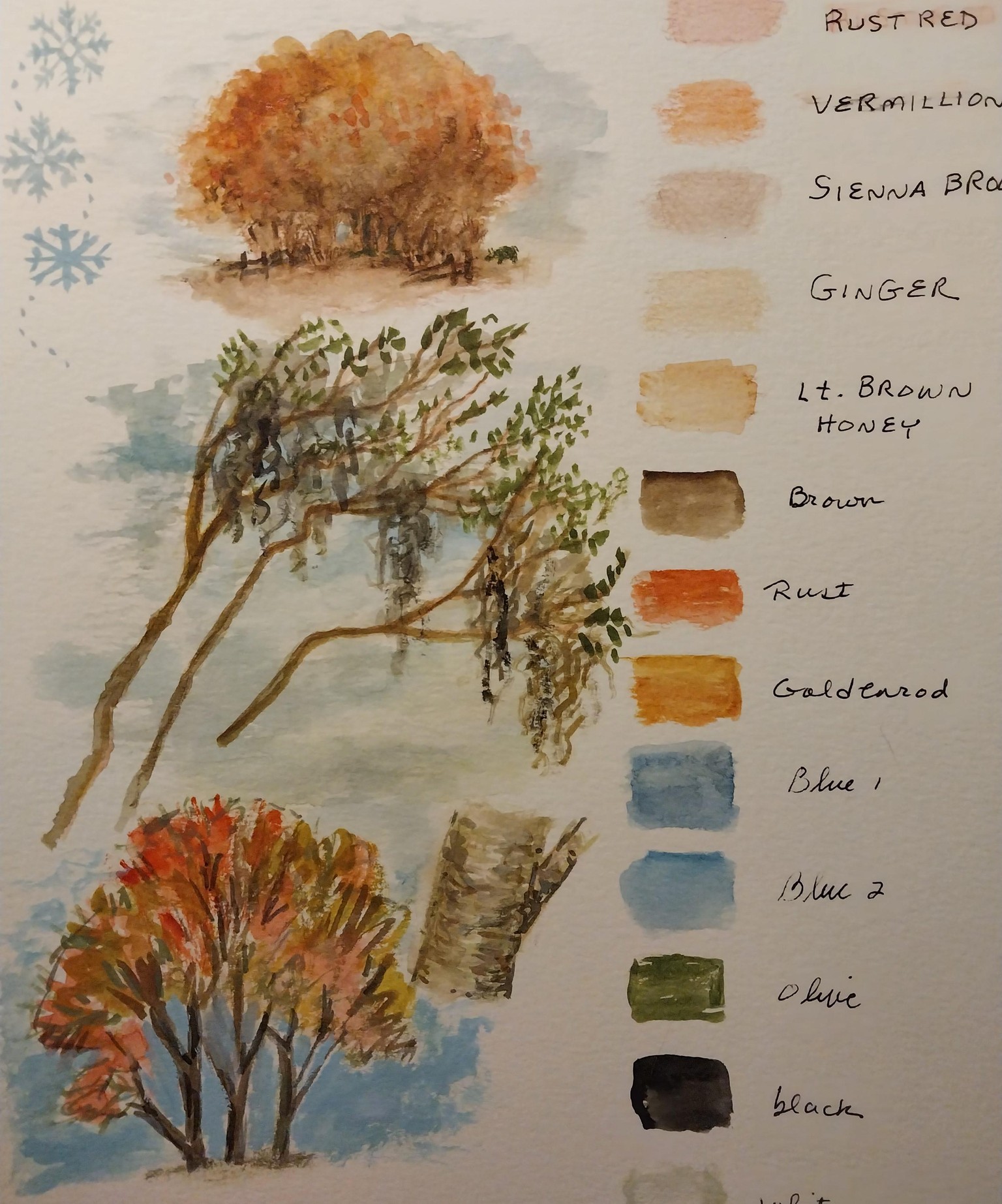 Fall / Wintry Florida - image 1 - student project