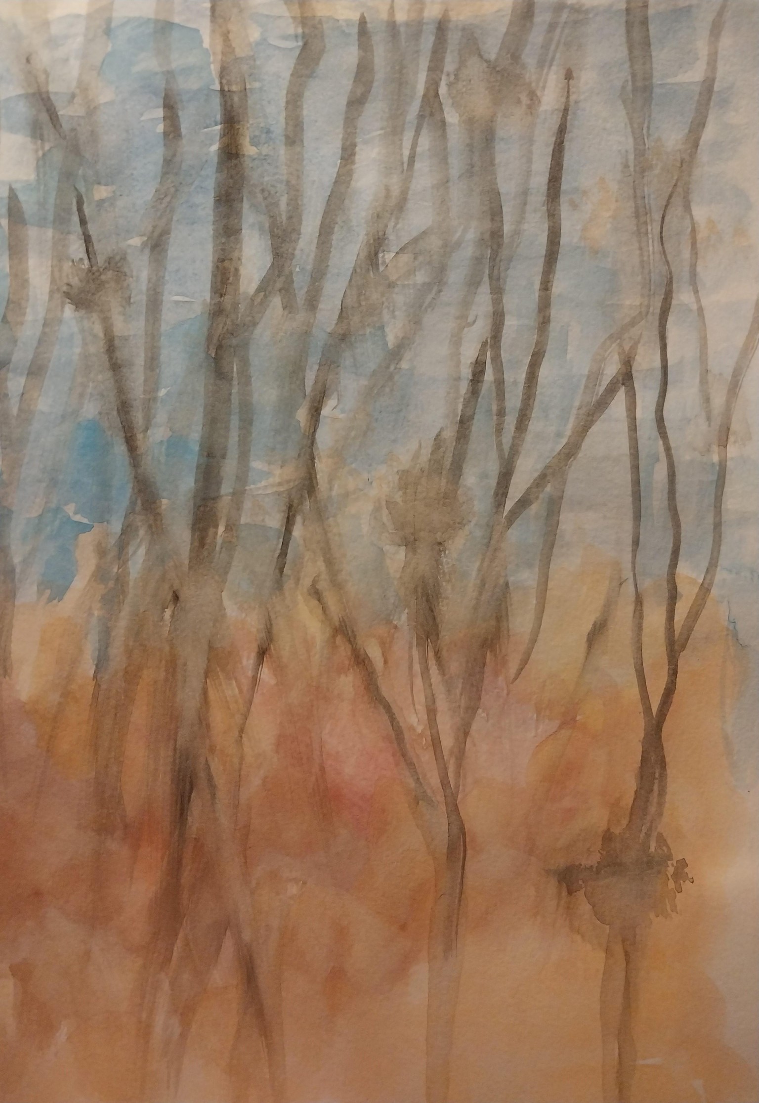 Fall / Wintry Florida - image 2 - student project