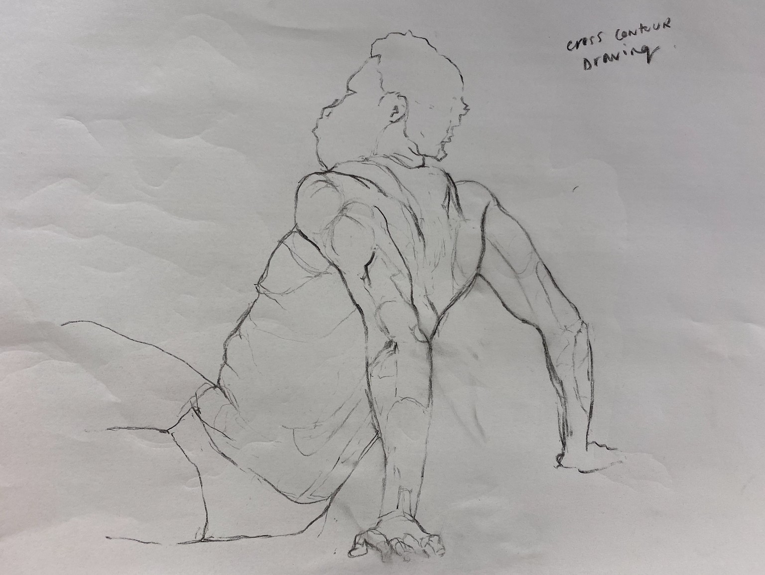 Figure Drawing - image 6 - student project