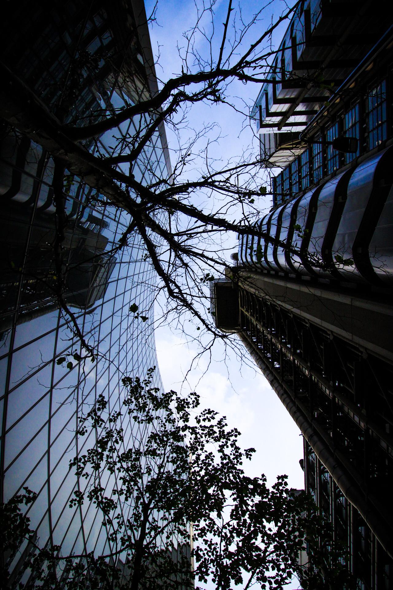 Searching for new perspectives - image 3 - student project