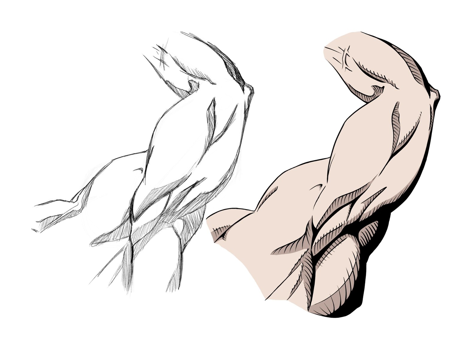 Dynamic Arm Poses - RM - 04/20 - image 2 - student project