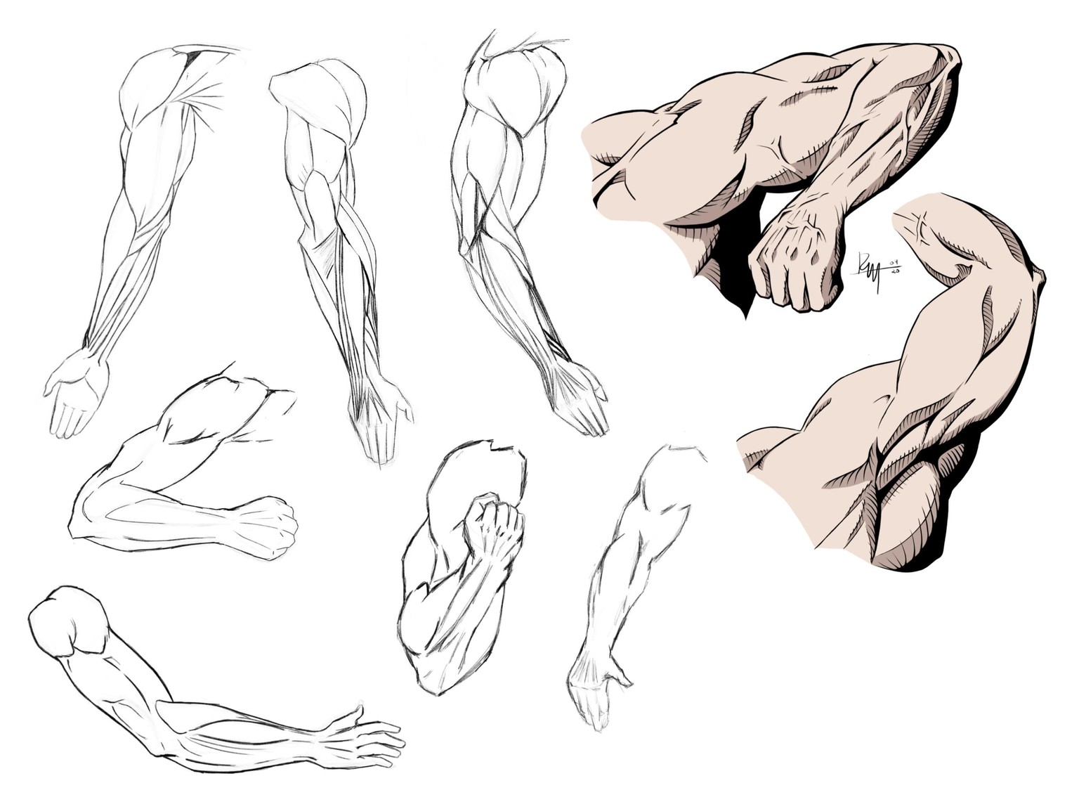 Dynamic Arm Poses - RM - 04/20 - image 3 - student project