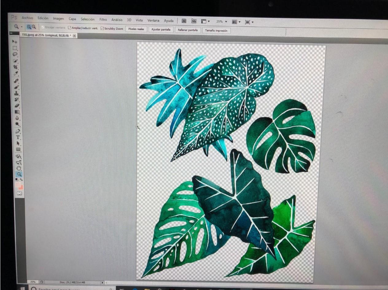 Tropical Leaves & Photoshop - image 2 - student project
