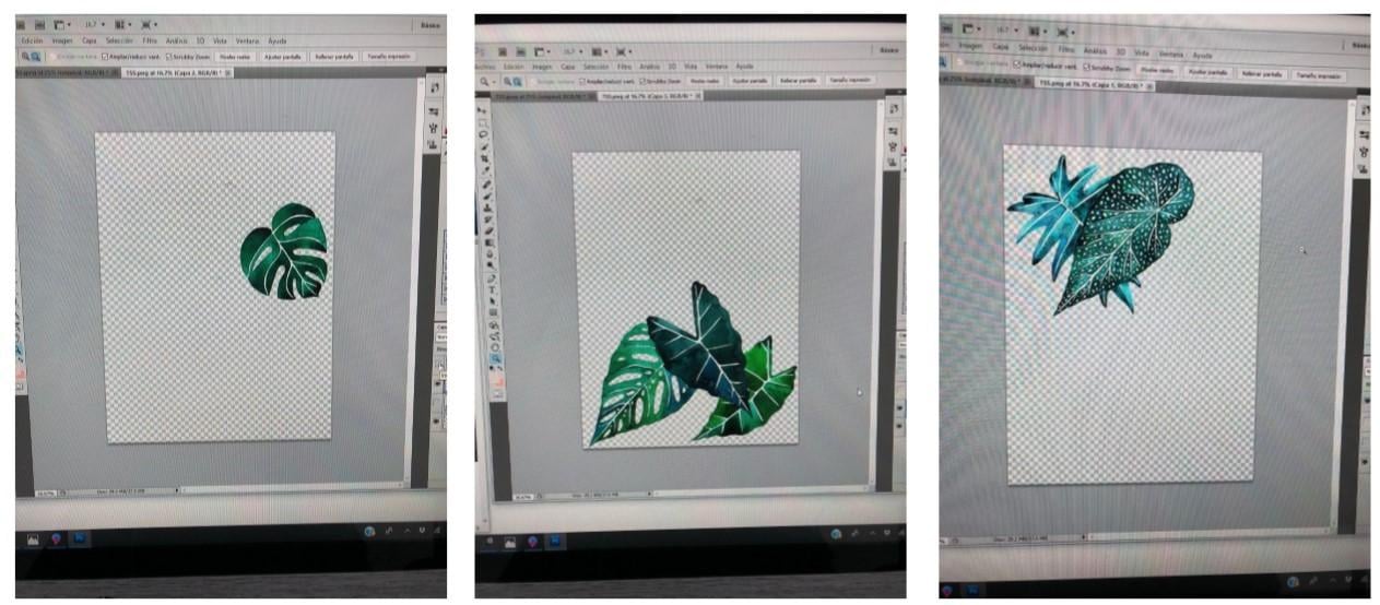 Tropical Leaves & Photoshop - image 3 - student project