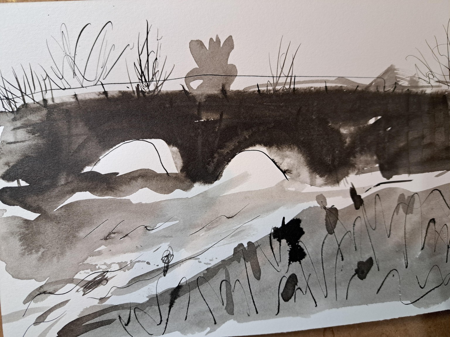 Inky landscapes - image 3 - student project