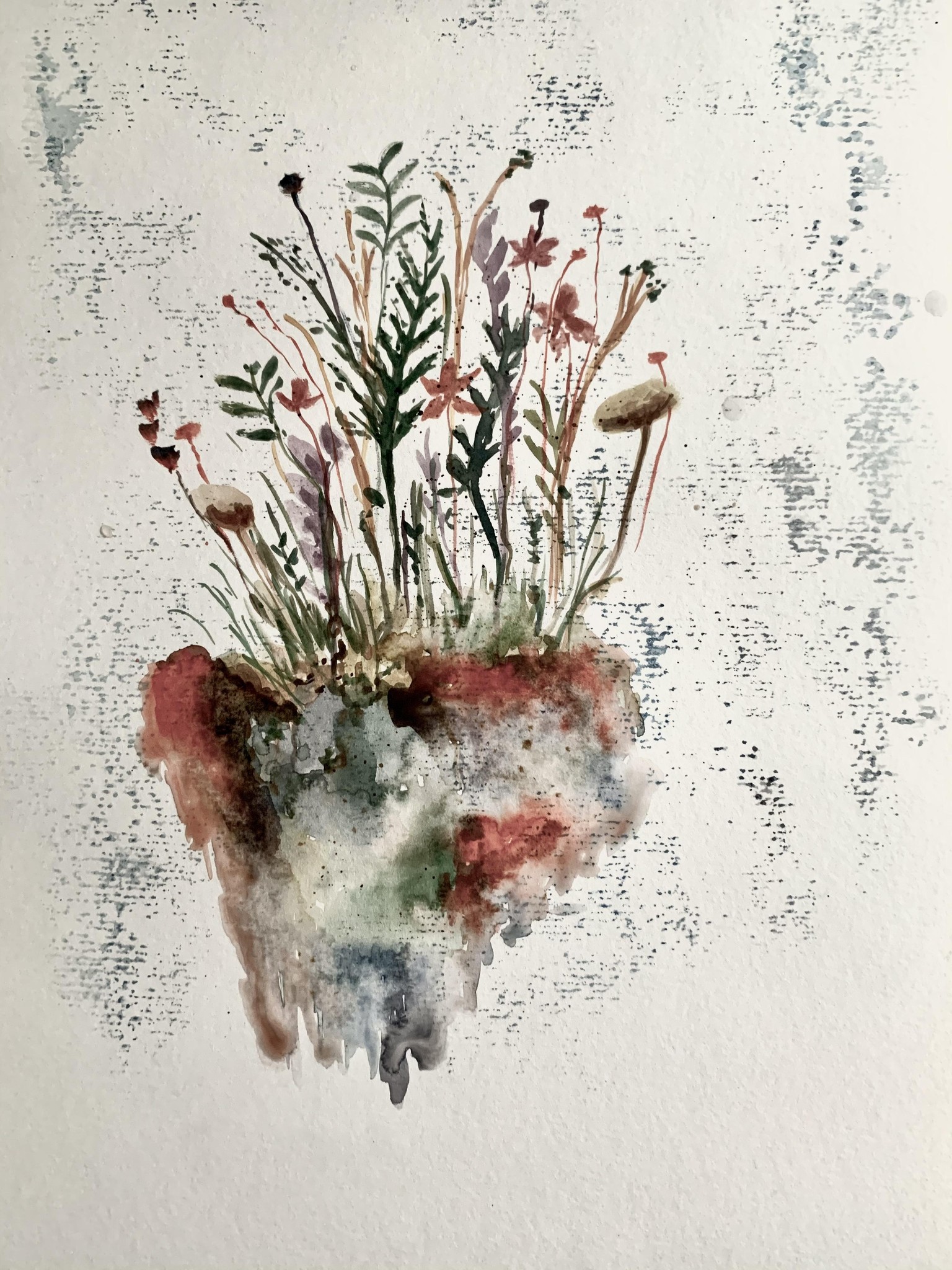 Giant flowers on a tiny rock - image 1 - student project
