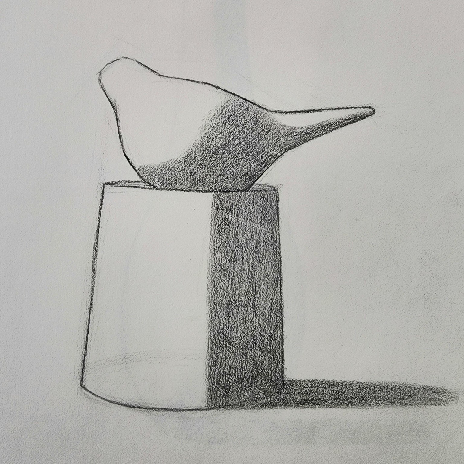 Dividing light and shadows. .. - image 1 - student project