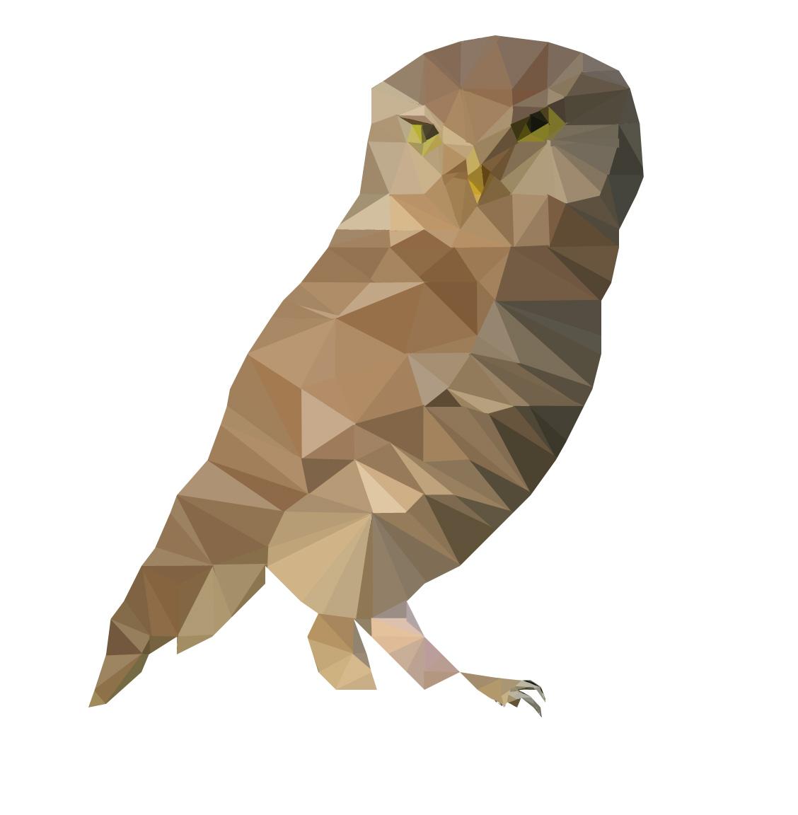 Owl // Low Poly - image 2 - student project