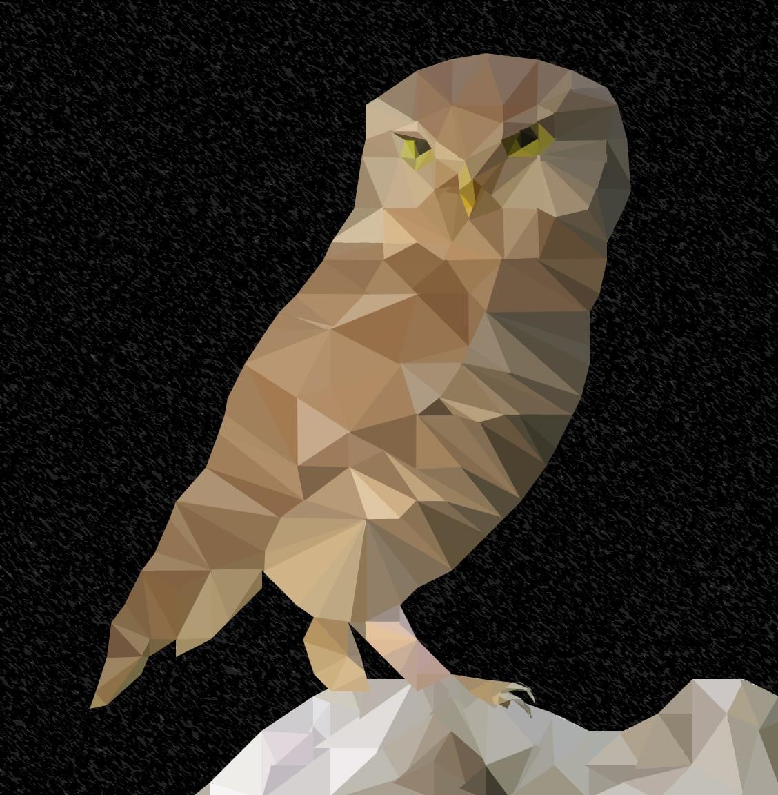 Owl // Low Poly - image 4 - student project