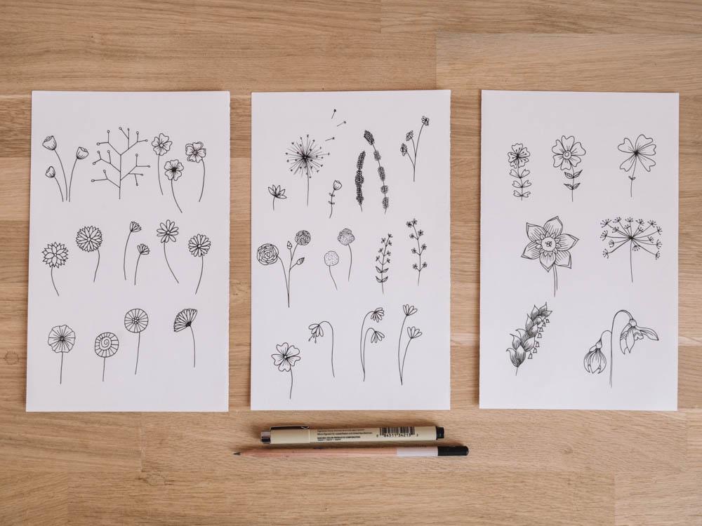 Botanic flowers  - image 1 - student project