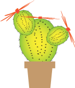 Cacti Project - image 4 - student project