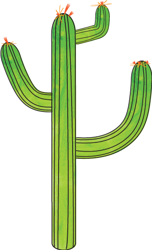 Cacti Project - image 1 - student project