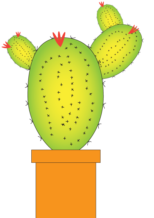 Cacti Project - image 3 - student project