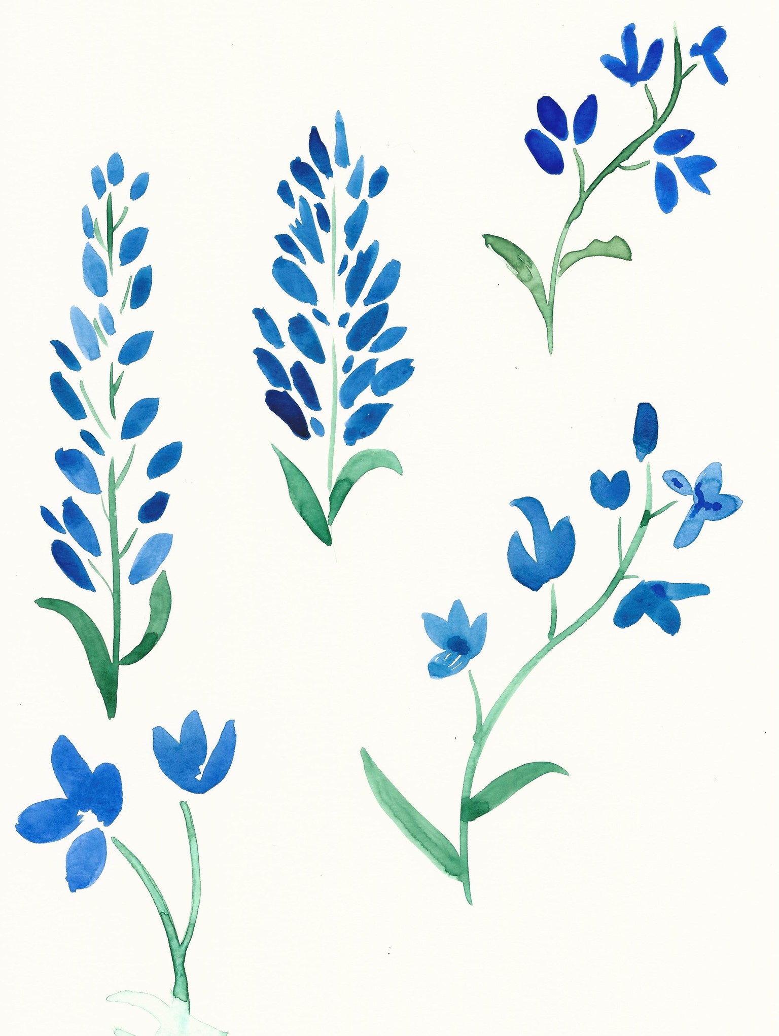 Expressive Florals: Watercolor Challenge - image 3 - student project