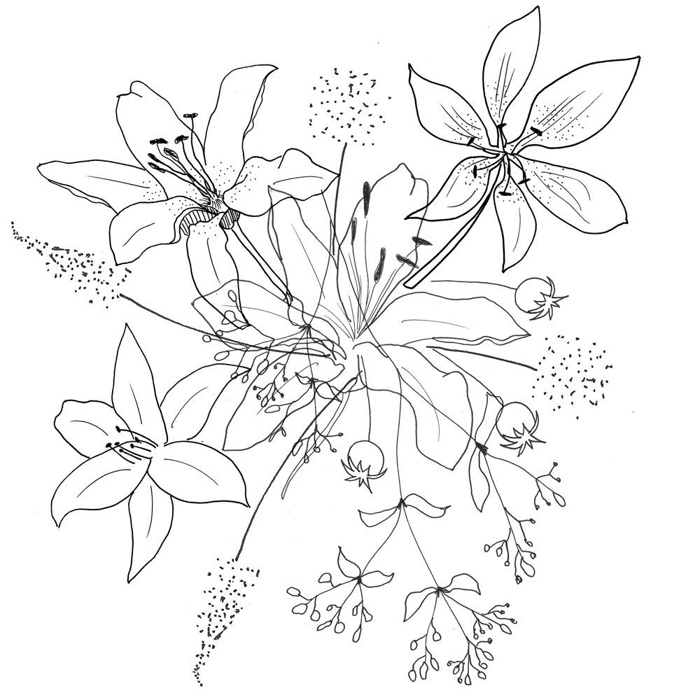 Expressive Florals: Watercolor Challenge - image 6 - student project