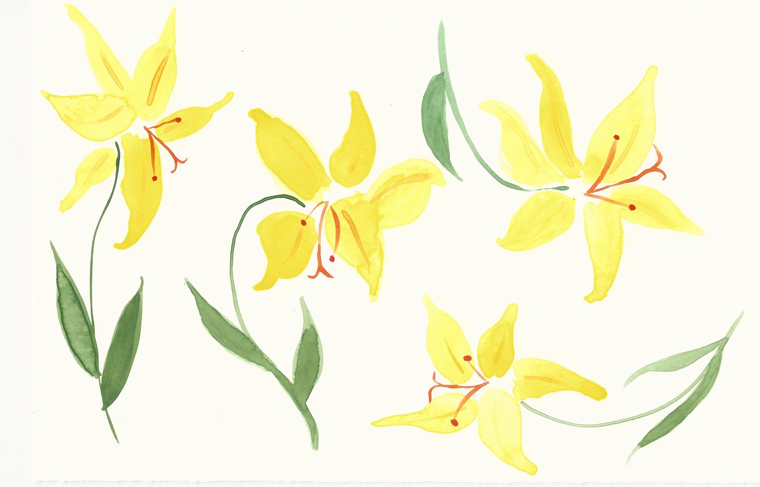 Expressive Florals: Watercolor Challenge - image 5 - student project