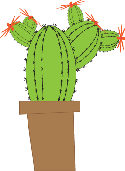 Cacti Project - image 2 - student project