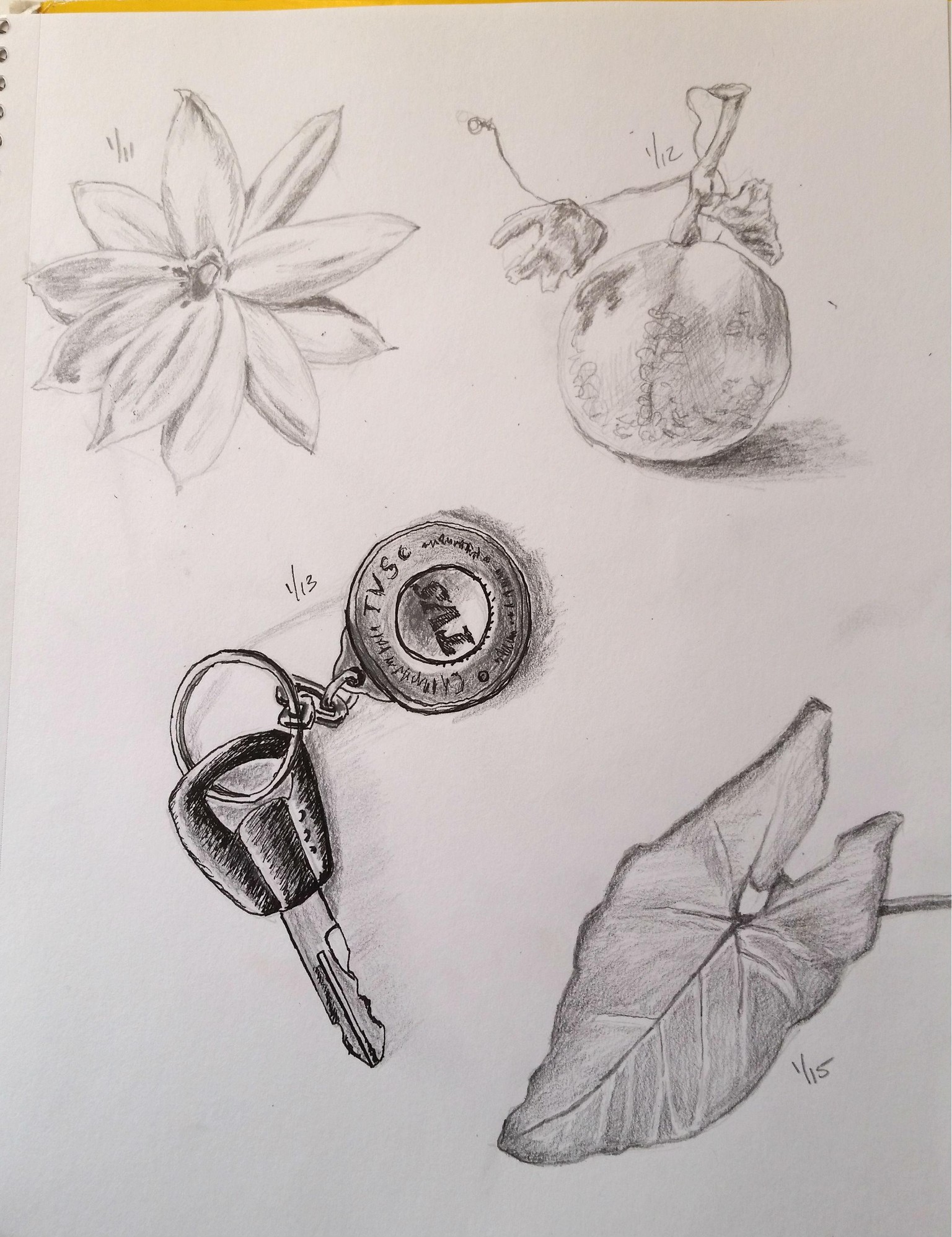 9 days in... - image 2 - student project