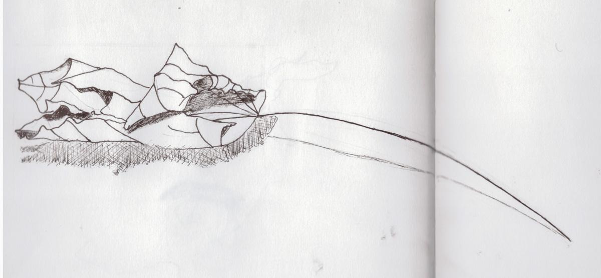 Lines - image 1 - student project