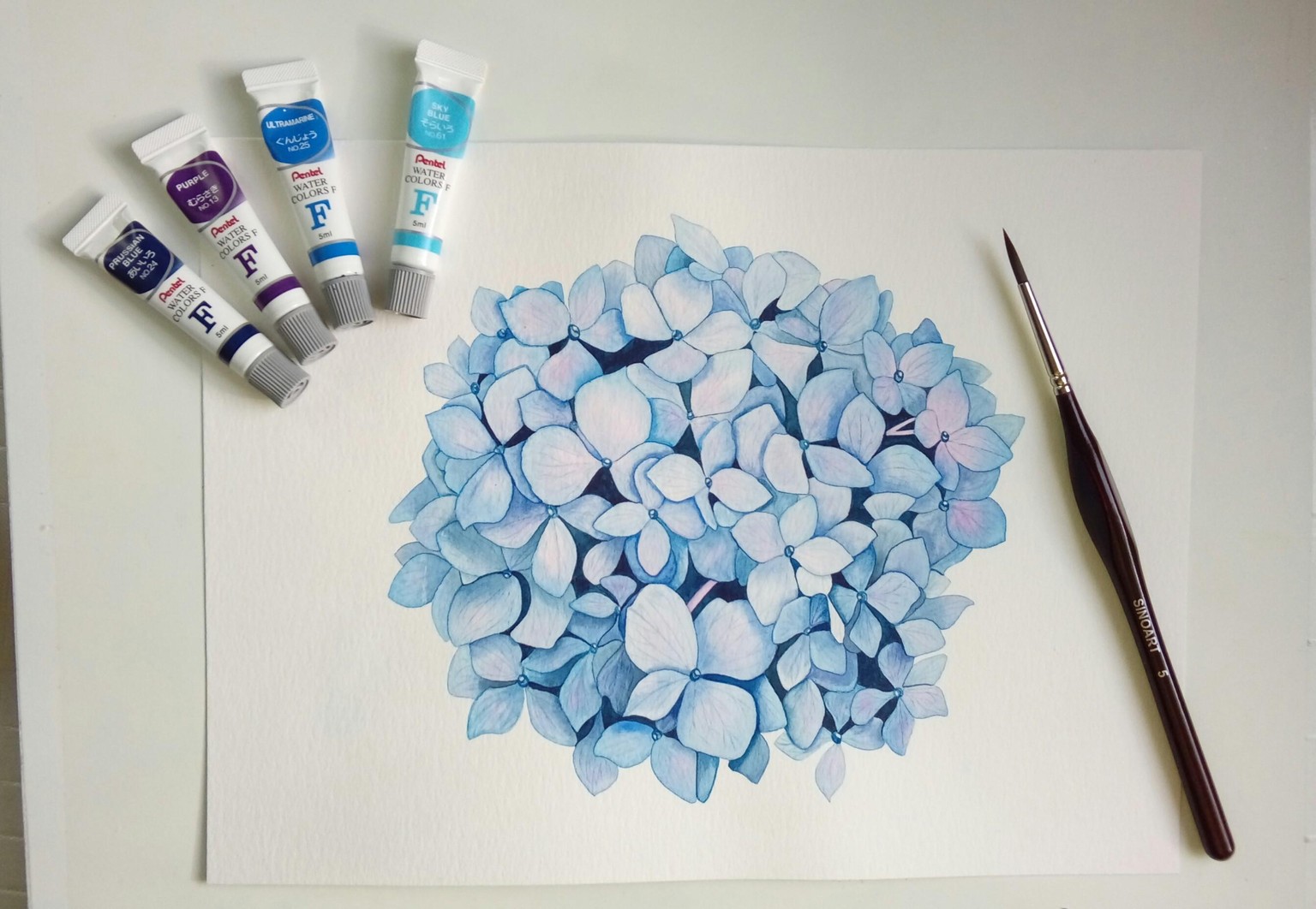 Hydrangea - image 6 - student project