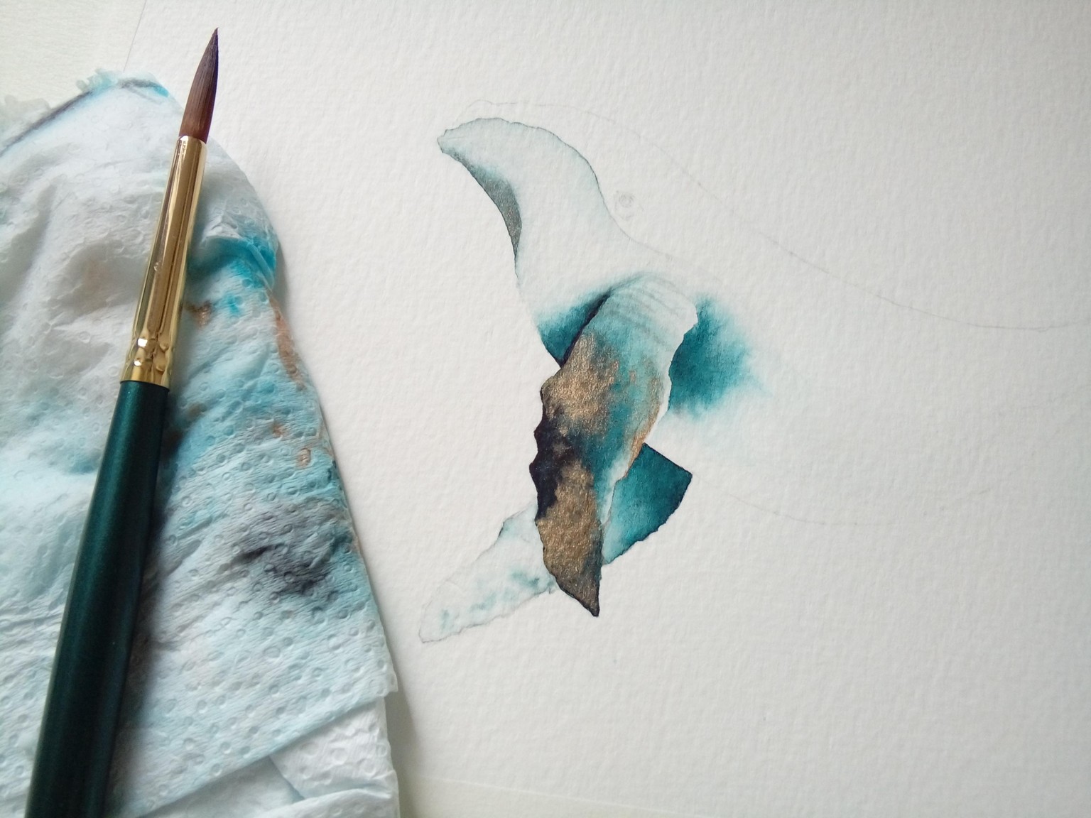Marine Life - image 3 - student project