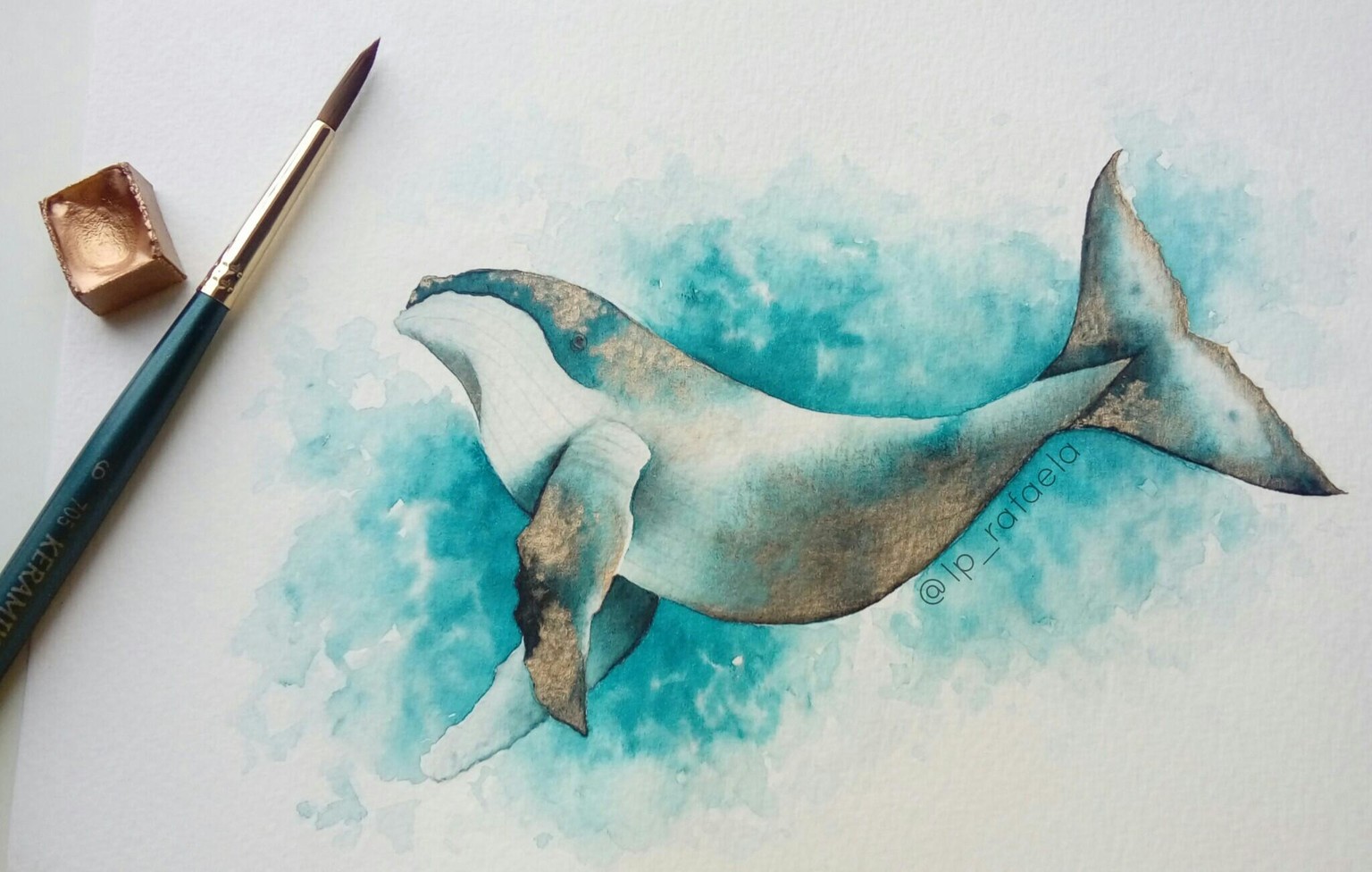 Marine Life - image 5 - student project