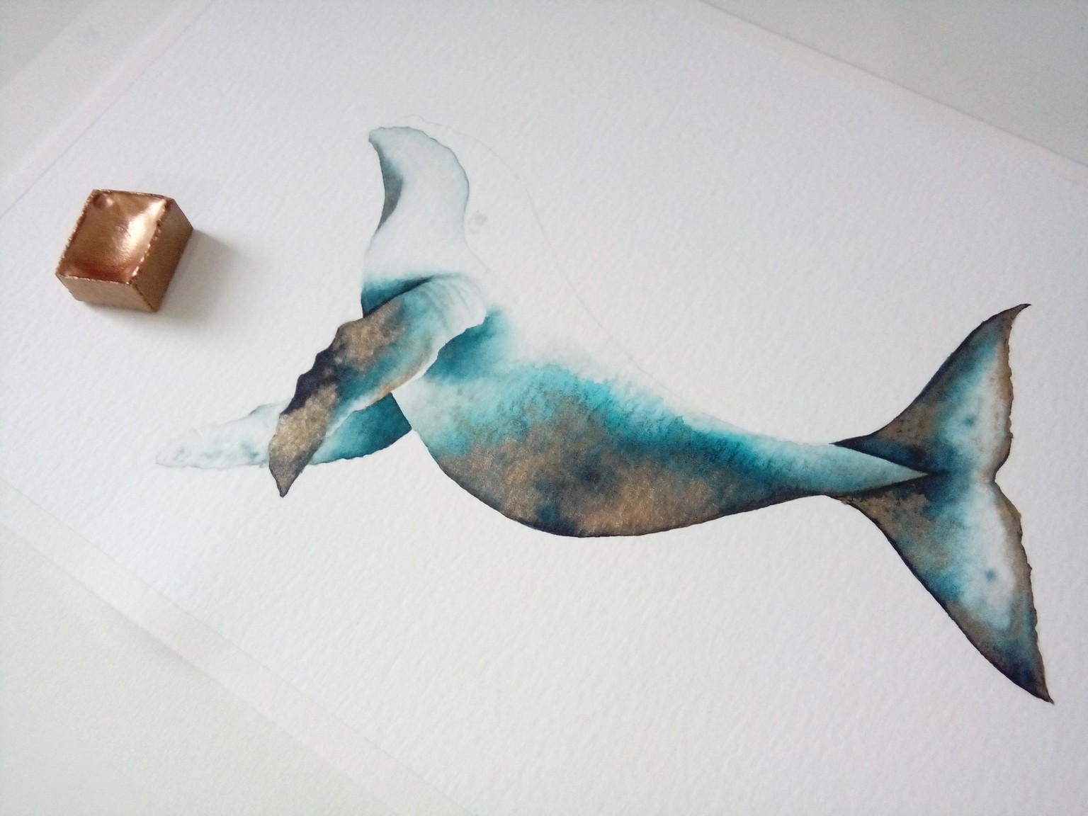 Marine Life - image 4 - student project