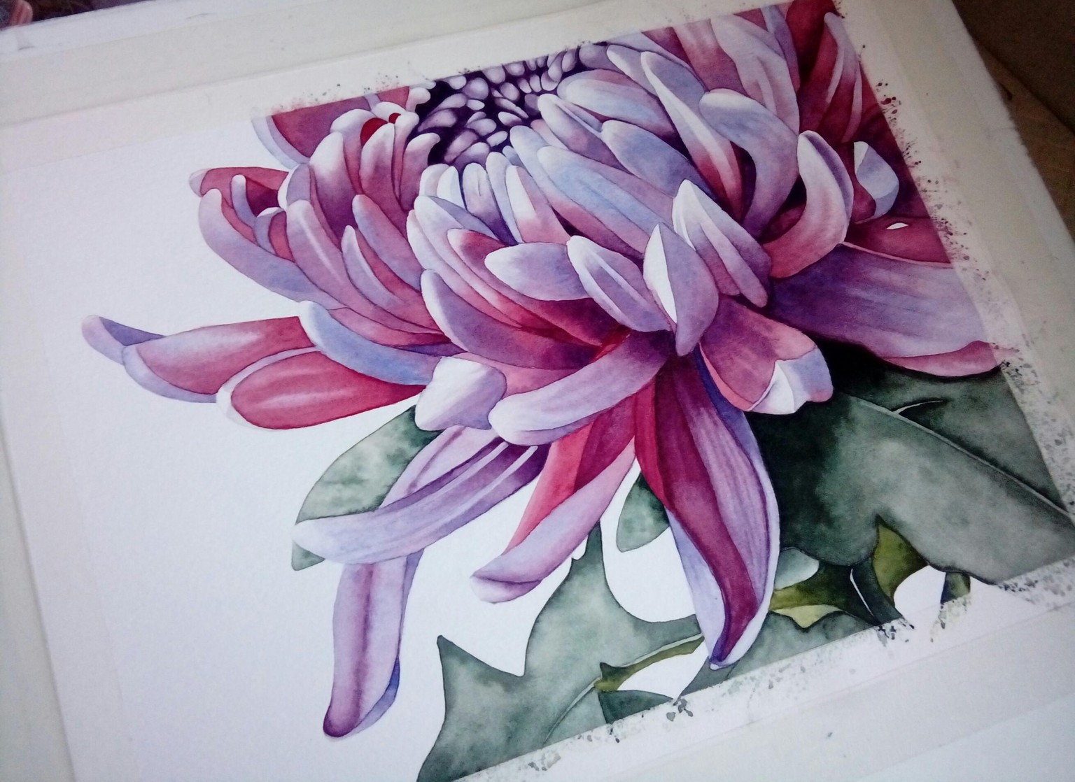 Watercolor Chrysanthemum - image 6 - student project