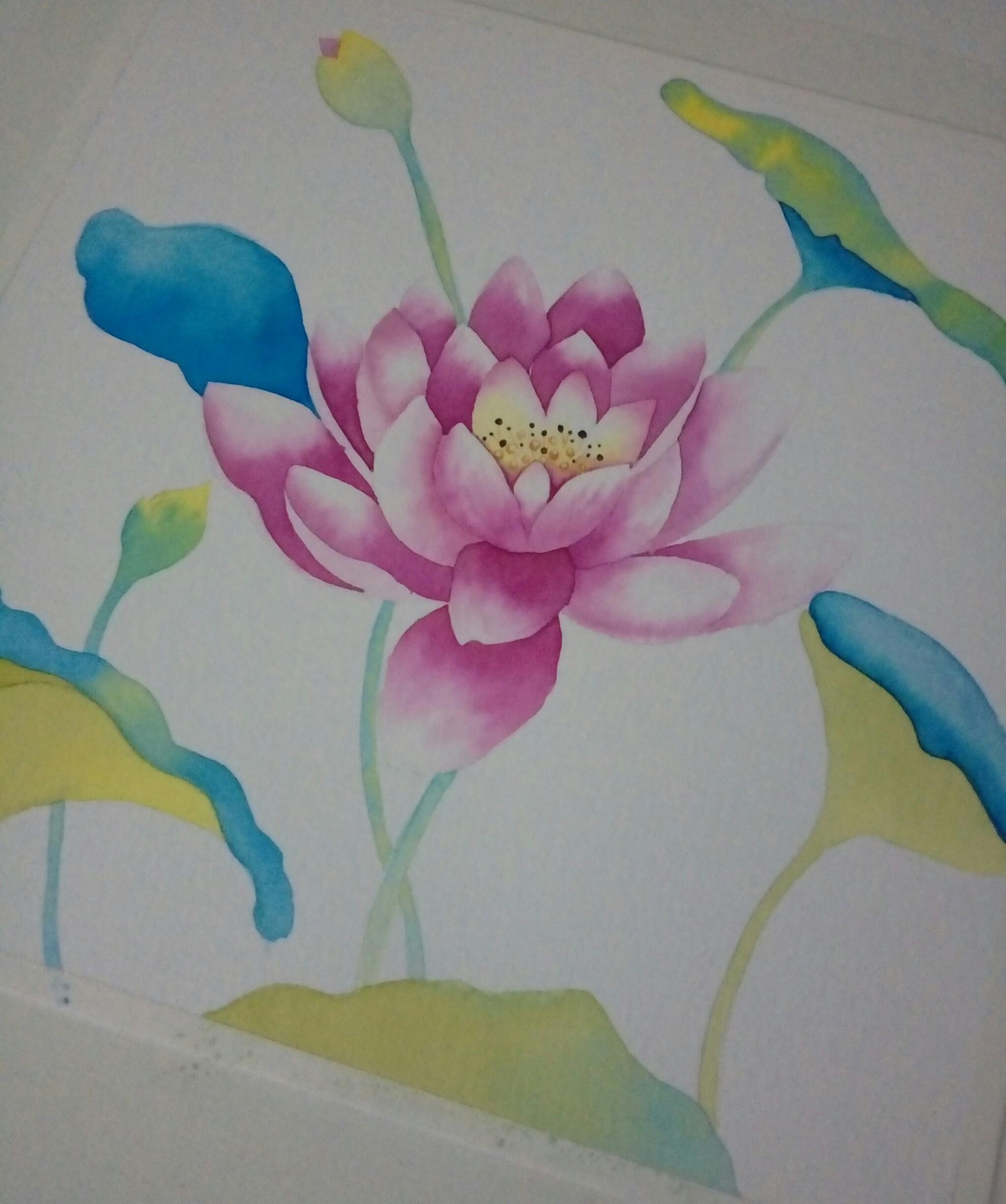 Lotus - image 2 - student project