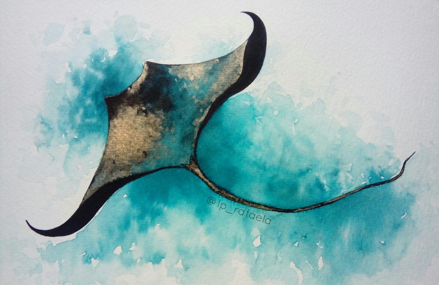 Marine Life - image 8 - student project