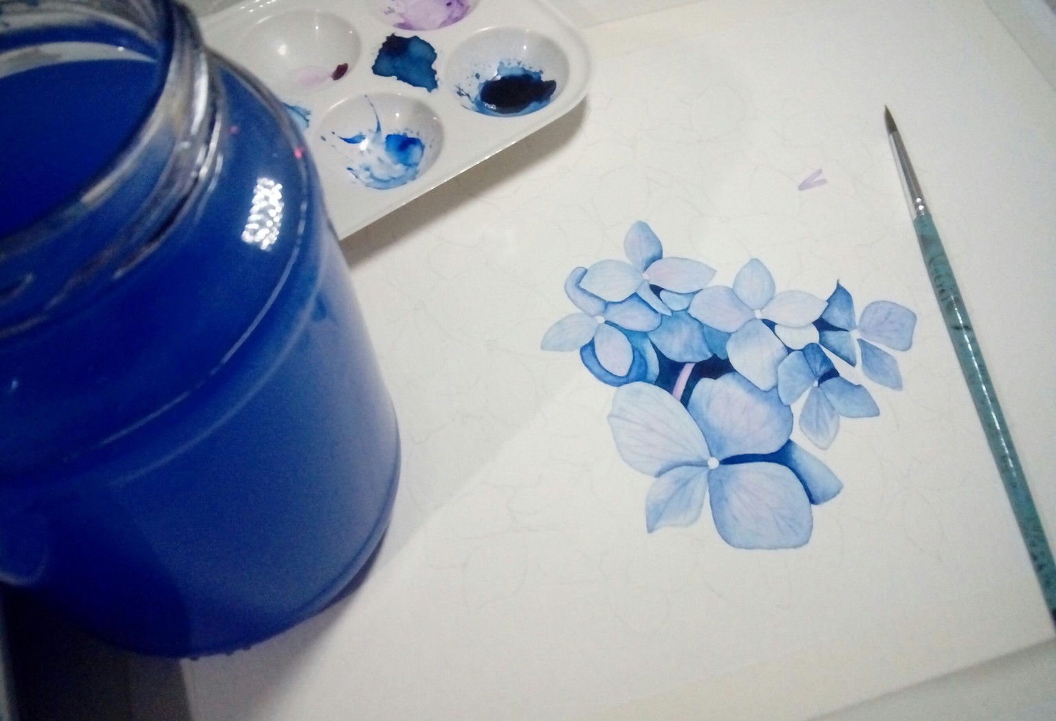 Hydrangea - image 4 - student project