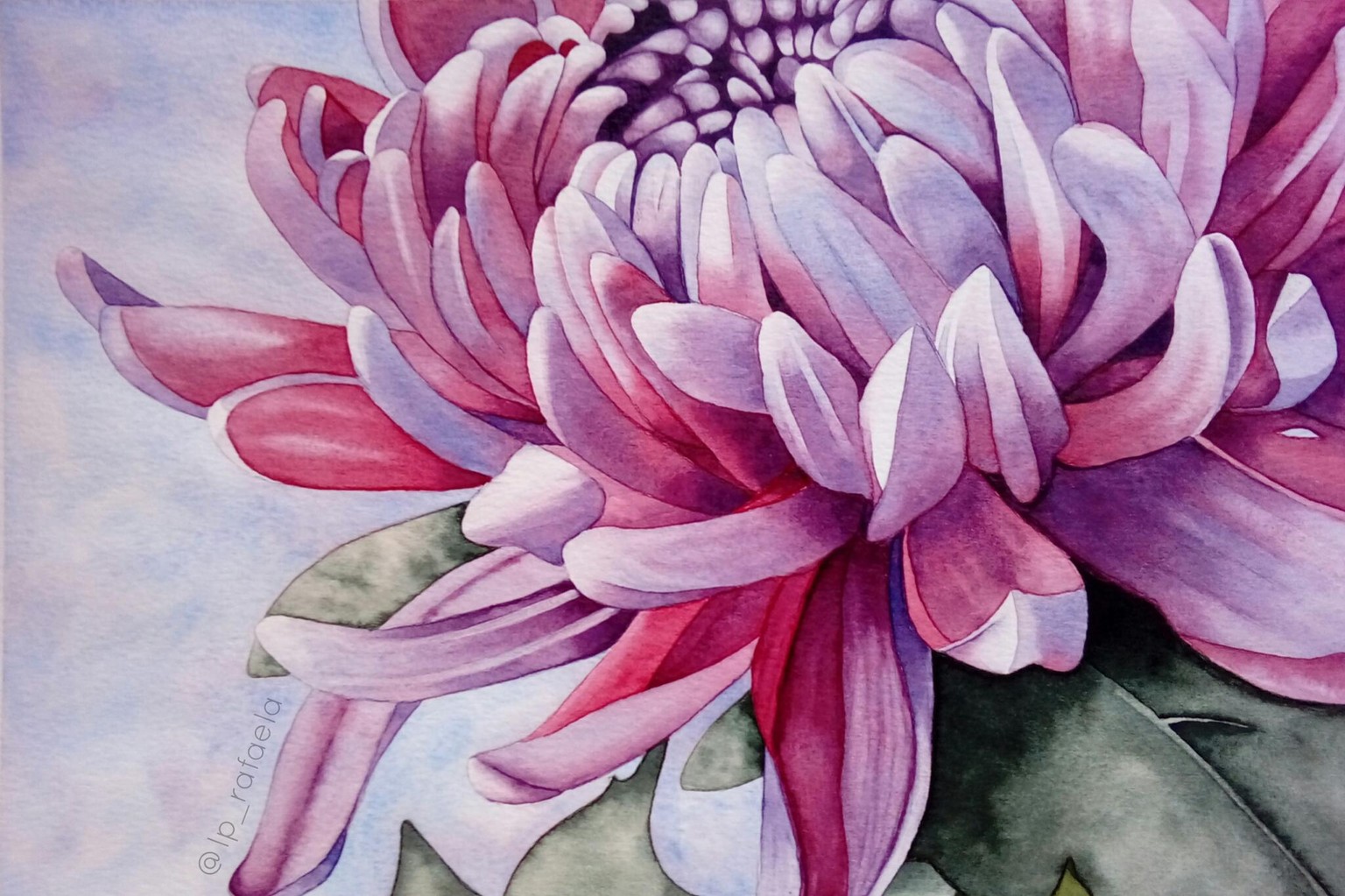 Watercolor Chrysanthemum - image 7 - student project