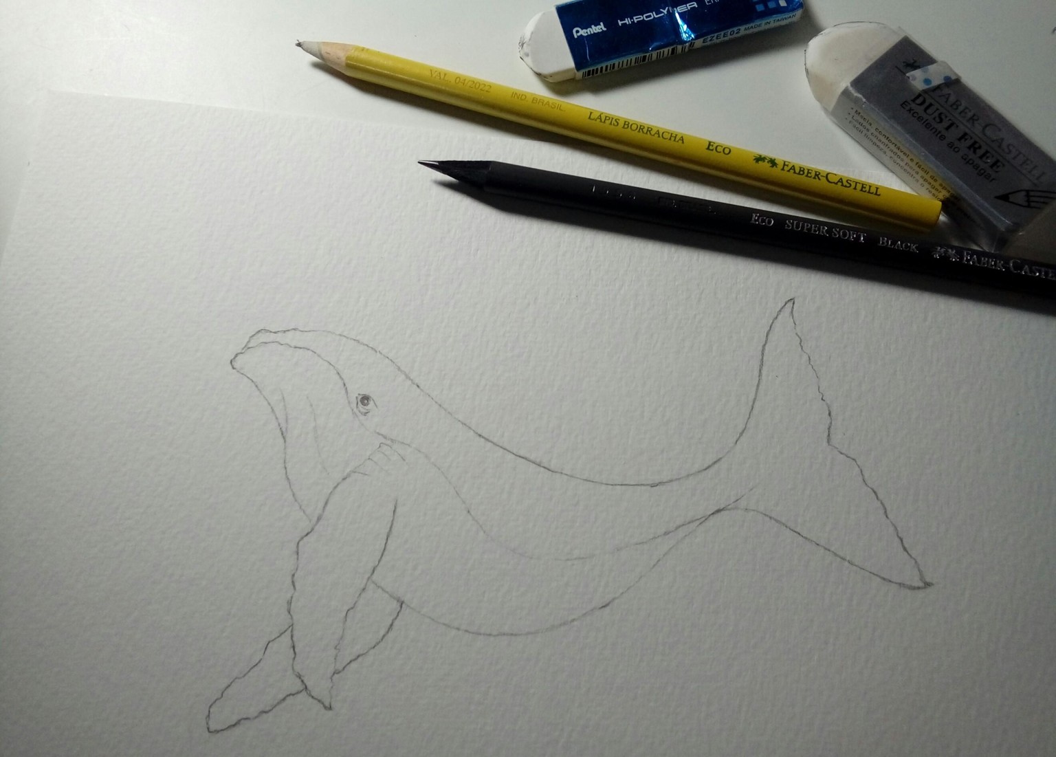 Marine Life - image 1 - student project