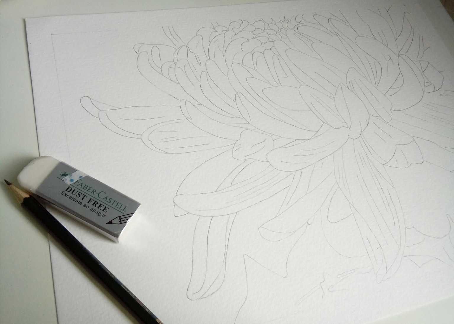 Watercolor Chrysanthemum - image 1 - student project