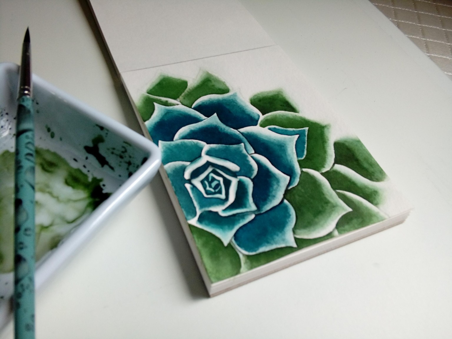 Succulent - image 3 - student project