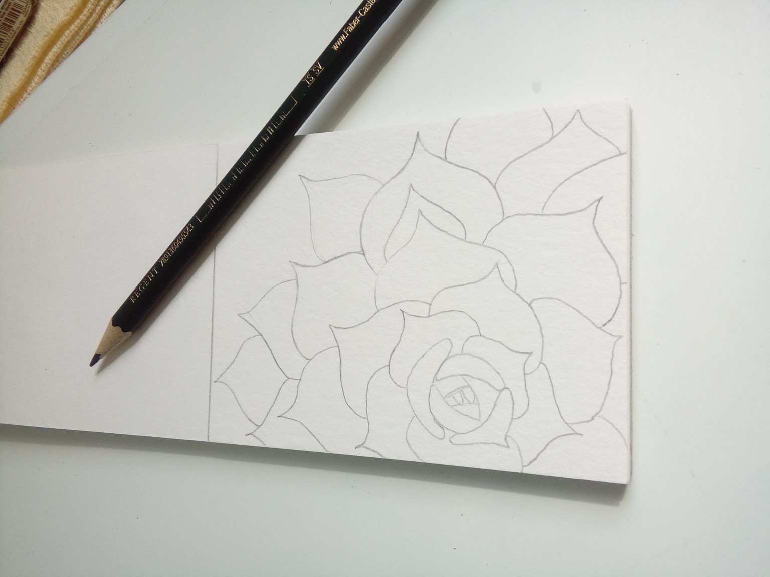 Succulent - image 1 - student project
