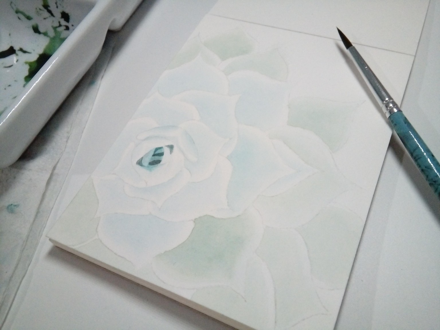 Succulent - image 2 - student project