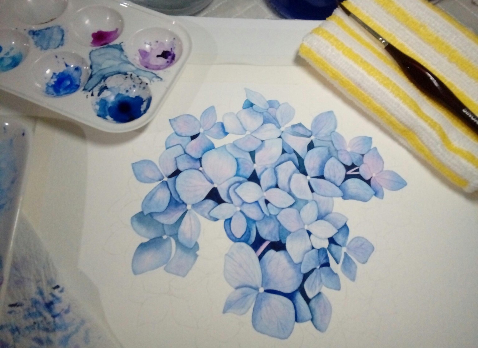 Hydrangea - image 5 - student project
